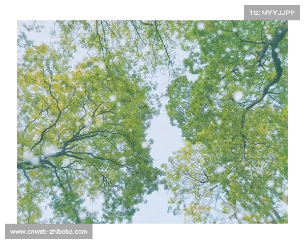 新疆男篮组建专业球探团队，避免重蹈换援覆辙